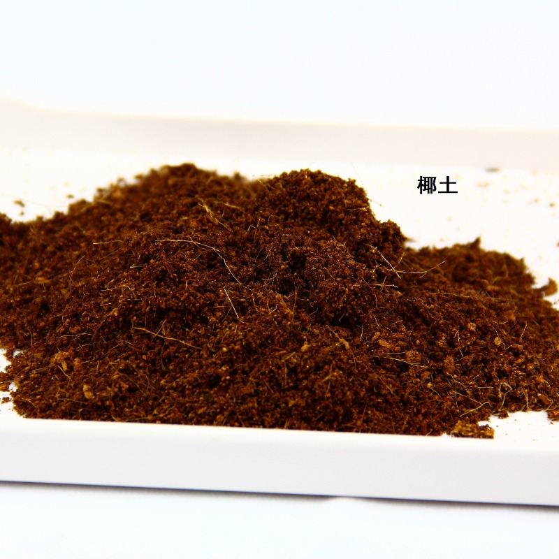 Coconut Soil Brick Reptile Sub - Substrate Coconut Fiber ulasan dan harga