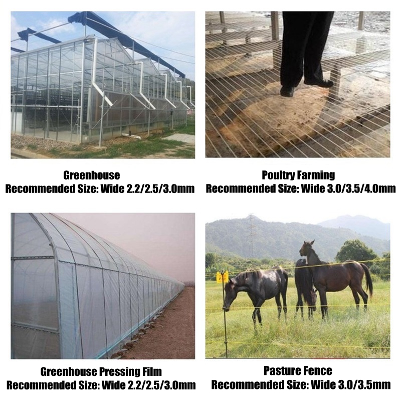50m Plastic Steel Wire Agricul - Vine Climbing Plastic ulasan dan harga