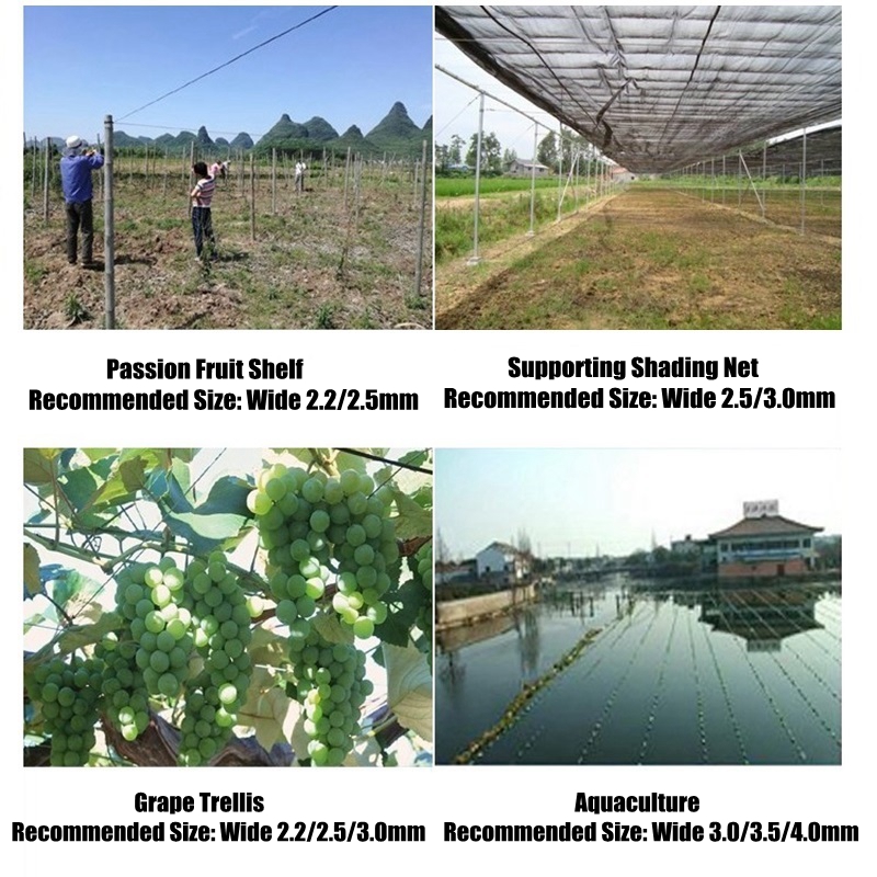 50m Plastic Steel Wire Agricul - Vine Climbing Plastic ulasan dan harga